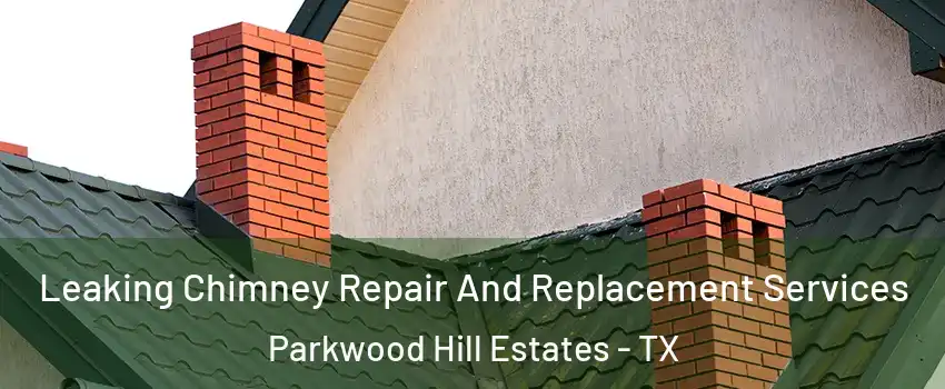 Leaking Chimney Repair And Replacement Services Parkwood Hill Estates - TX