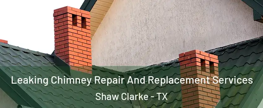 Leaking Chimney Repair And Replacement Services Shaw Clarke - TX