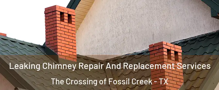 Leaking Chimney Repair And Replacement Services The Crossing of Fossil Creek - TX