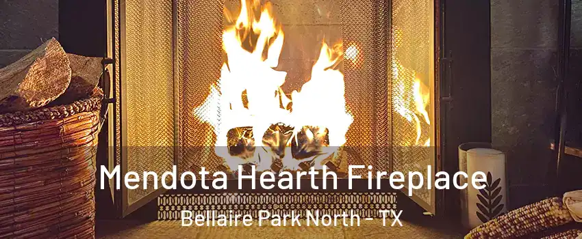 Mendota Hearth Fireplace Bellaire Park North - TX