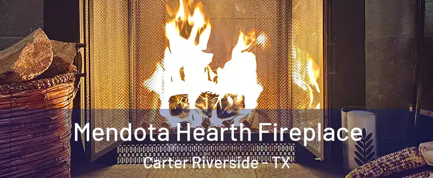 Mendota Hearth Fireplace Carter Riverside - TX