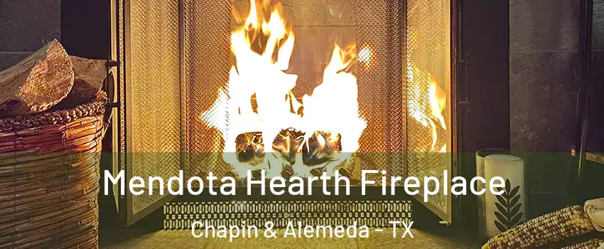 Mendota Hearth Fireplace Chapin & Alemeda - TX