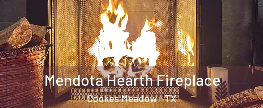 Mendota Hearth Fireplace Cookes Meadow - TX