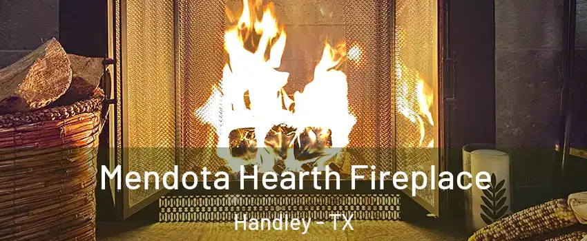 Mendota Hearth Fireplace Handley - TX