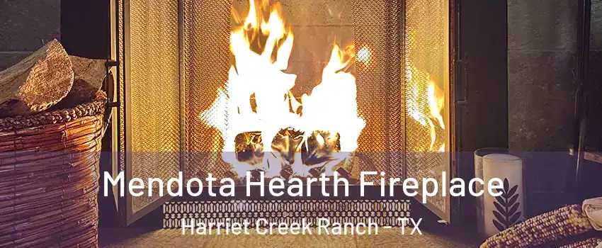 Mendota Hearth Fireplace Harriet Creek Ranch - TX