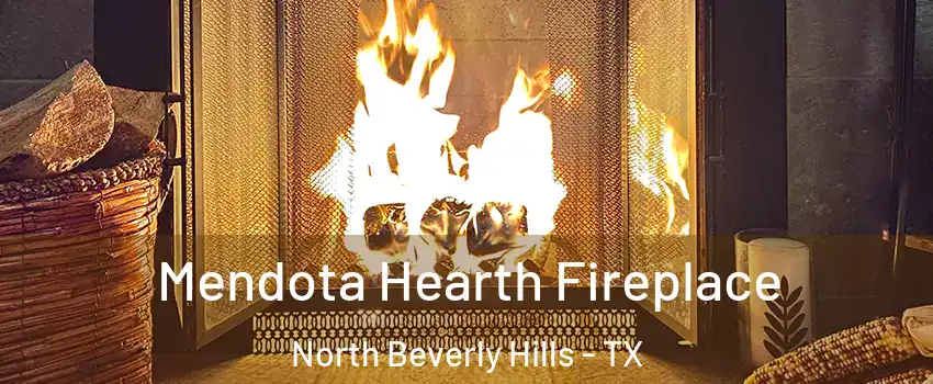 Mendota Hearth Fireplace North Beverly Hills - TX
