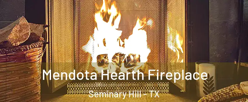 Mendota Hearth Fireplace Seminary Hill - TX