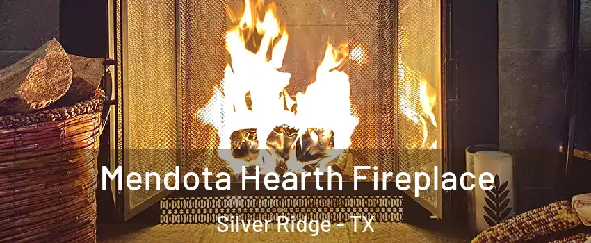 Mendota Hearth Fireplace Silver Ridge - TX