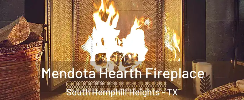 Mendota Hearth Fireplace South Hemphill Heights - TX