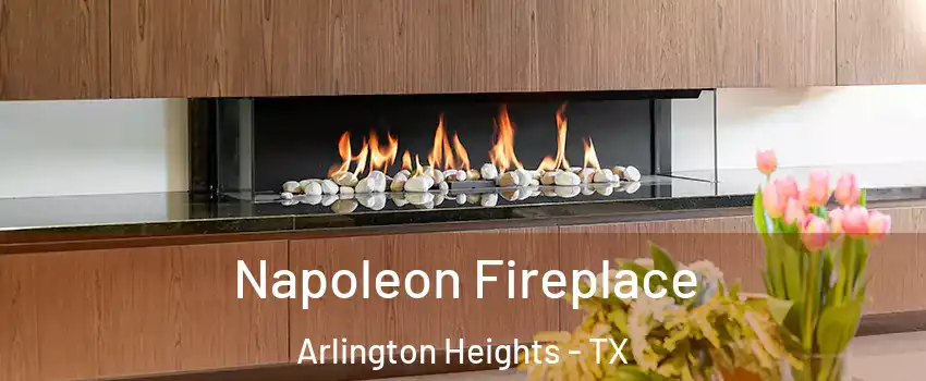 Napoleon Fireplace Arlington Heights - TX