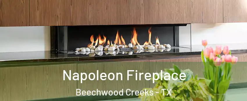 Napoleon Fireplace Beechwood Creeks - TX