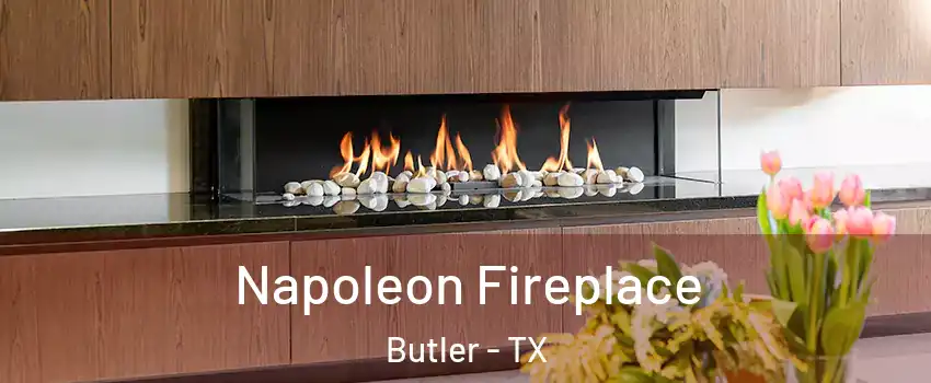 Napoleon Fireplace Butler - TX