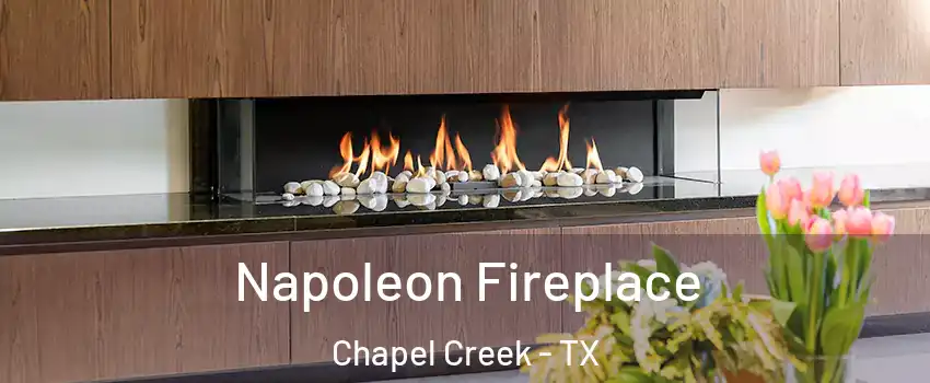 Napoleon Fireplace Chapel Creek - TX