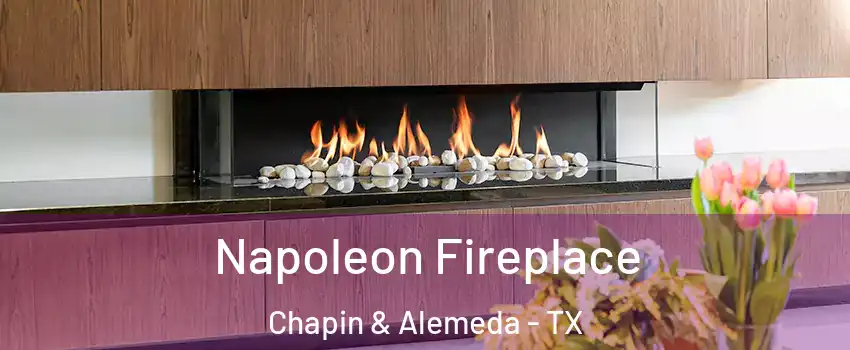 Napoleon Fireplace Chapin & Alemeda - TX