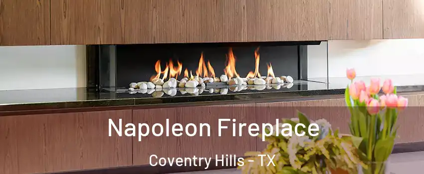 Napoleon Fireplace Coventry Hills - TX