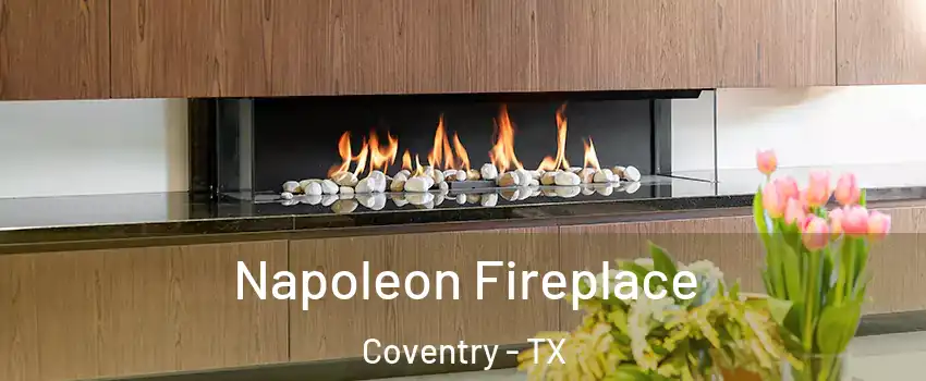 Napoleon Fireplace Coventry - TX