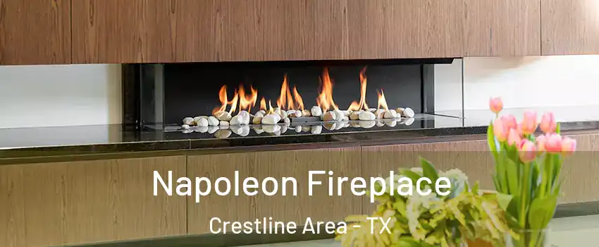Napoleon Fireplace Crestline Area - TX