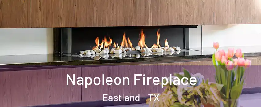 Napoleon Fireplace Eastland - TX