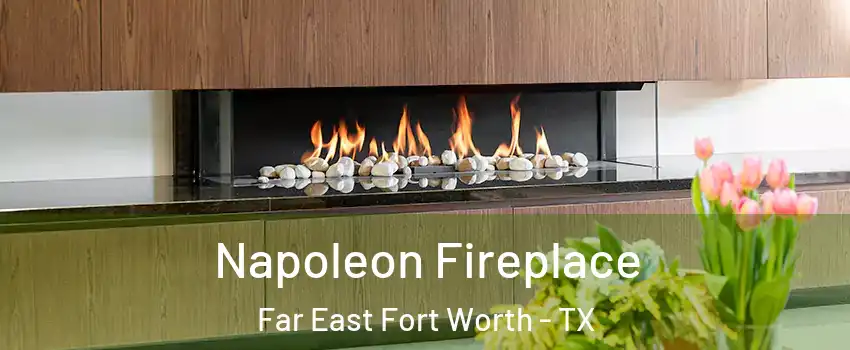 Napoleon Fireplace Far East Fort Worth - TX