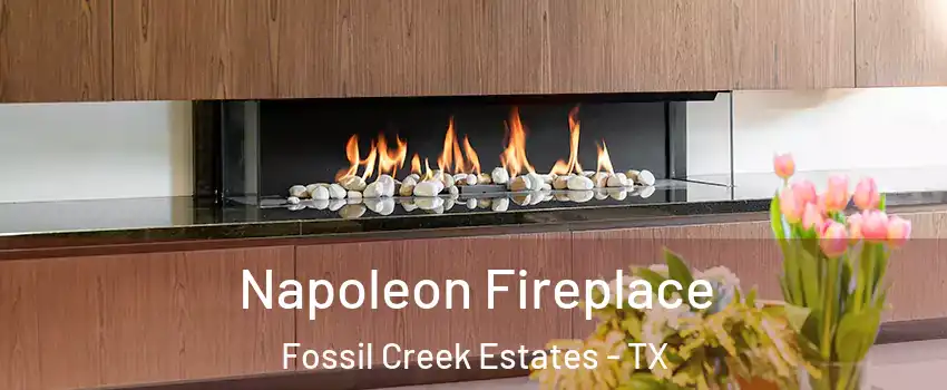 Napoleon Fireplace Fossil Creek Estates - TX