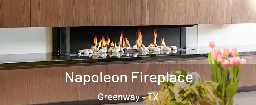 Napoleon Fireplace Greenway - TX