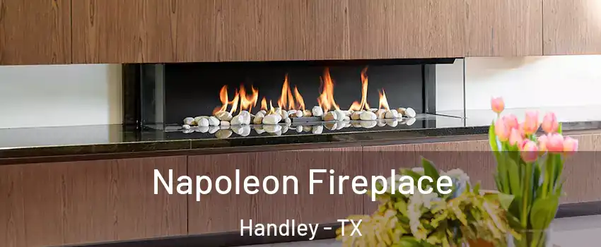 Napoleon Fireplace Handley - TX