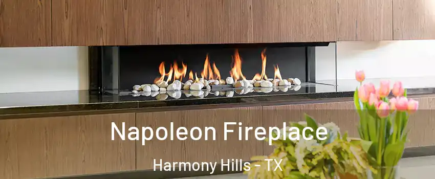 Napoleon Fireplace Harmony Hills - TX
