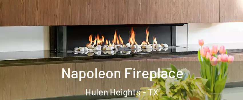 Napoleon Fireplace Hulen Heights - TX