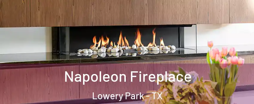 Napoleon Fireplace Lowery Park - TX