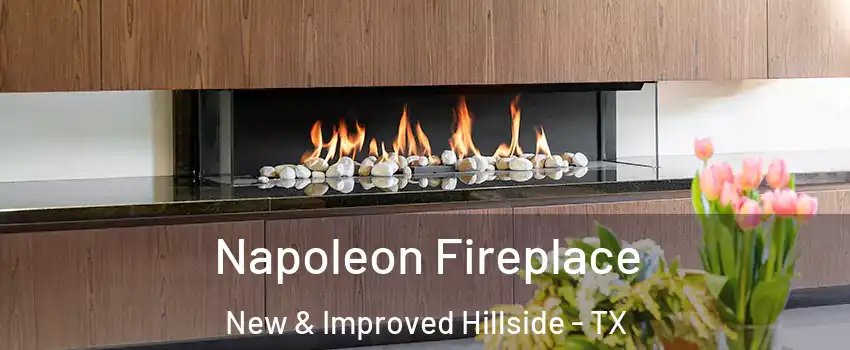 Napoleon Fireplace New & Improved Hillside - TX