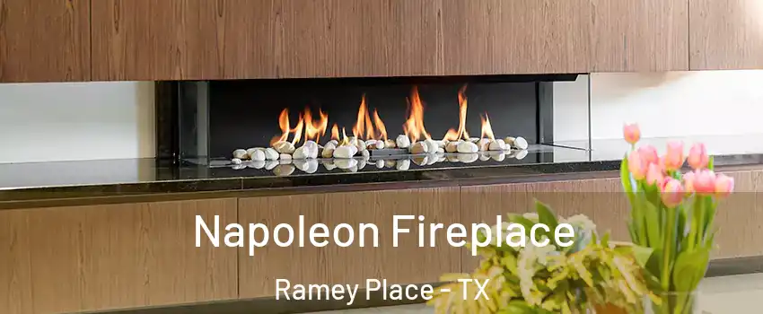 Napoleon Fireplace Ramey Place - TX