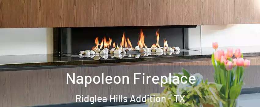 Napoleon Fireplace Ridglea Hills Addition - TX