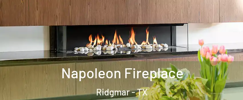 Napoleon Fireplace Ridgmar - TX