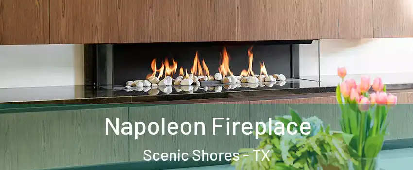 Napoleon Fireplace Scenic Shores - TX