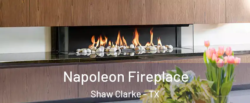 Napoleon Fireplace Shaw Clarke - TX