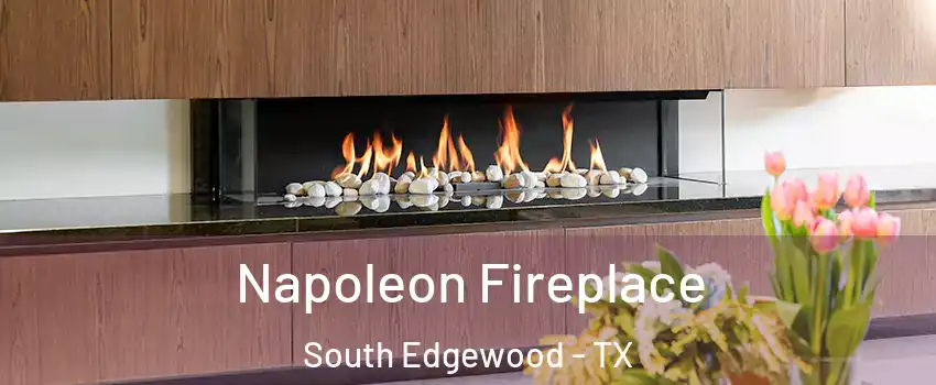 Napoleon Fireplace South Edgewood - TX