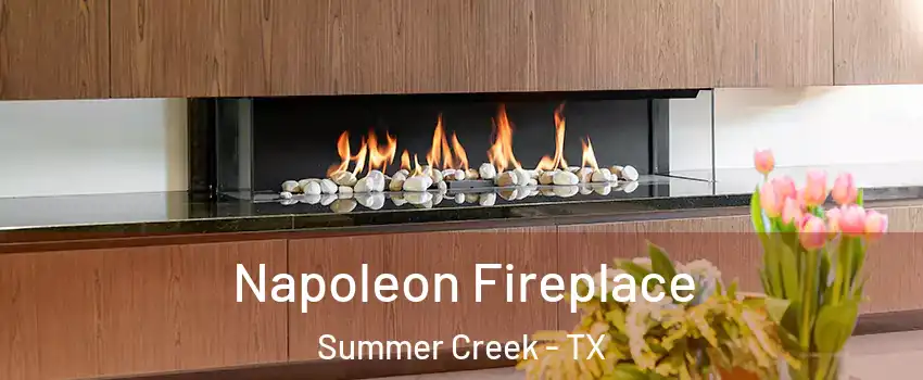 Napoleon Fireplace Summer Creek - TX