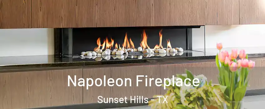 Napoleon Fireplace Sunset Hills - TX