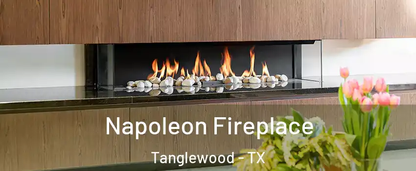 Napoleon Fireplace Tanglewood - TX