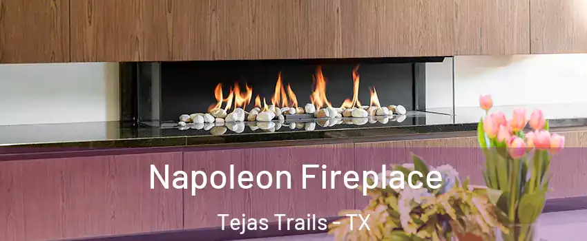 Napoleon Fireplace Tejas Trails - TX