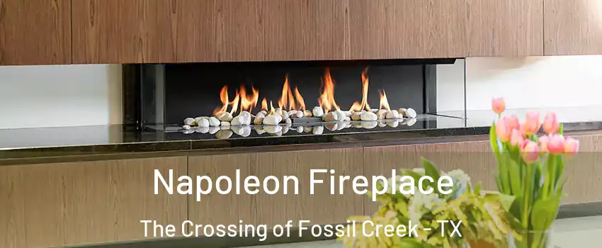 Napoleon Fireplace The Crossing of Fossil Creek - TX