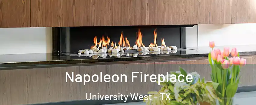 Napoleon Fireplace University West - TX