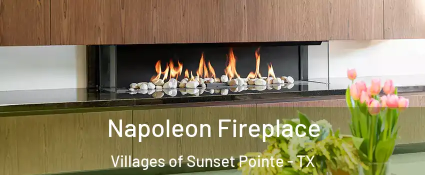 Napoleon Fireplace Villages of Sunset Pointe - TX