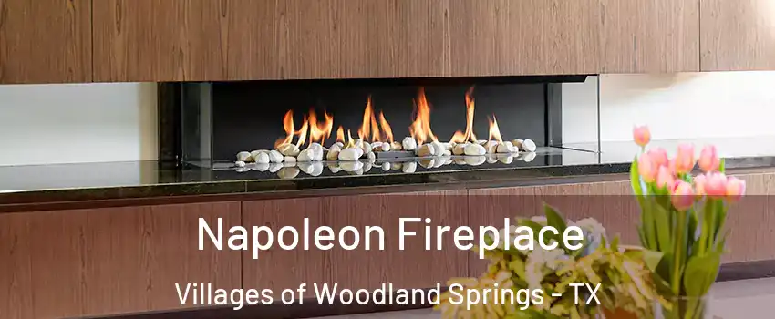 Napoleon Fireplace Villages of Woodland Springs - TX