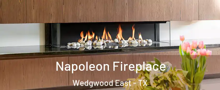 Napoleon Fireplace Wedgwood East - TX