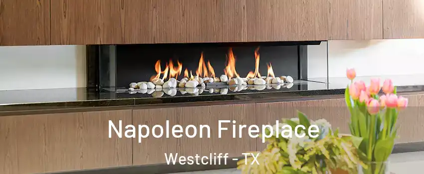 Napoleon Fireplace Westcliff - TX