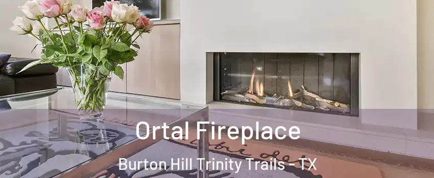 Ortal Fireplace Burton Hill Trinity Trails - TX