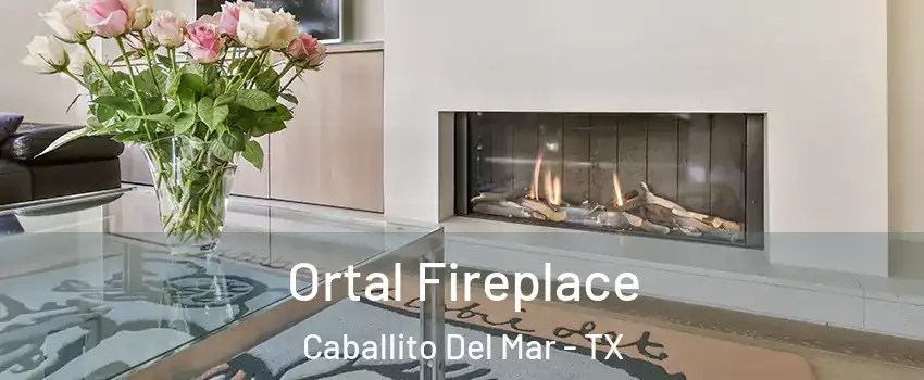 Ortal Fireplace Caballito Del Mar - TX