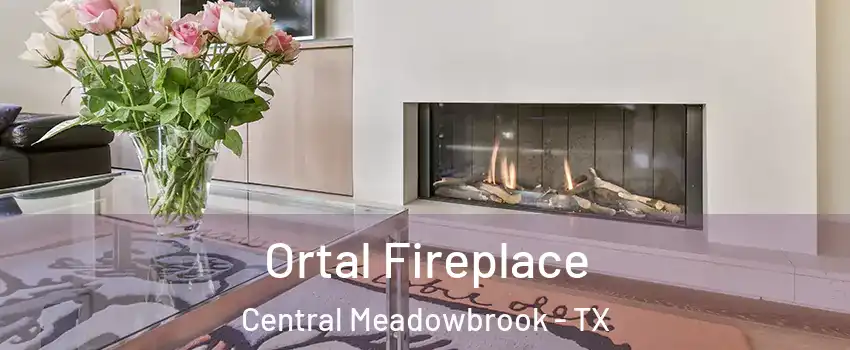 Ortal Fireplace Central Meadowbrook - TX