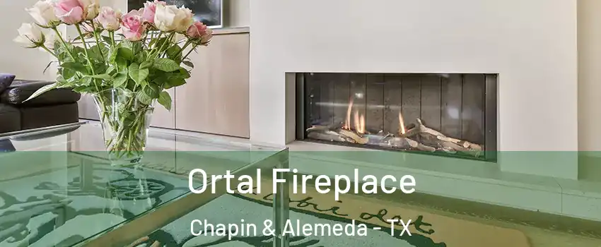 Ortal Fireplace Chapin & Alemeda - TX